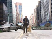 En İyi Hayatta Kalma Filmleri hayatta kalma filmleri