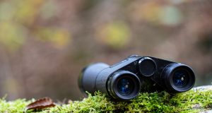 En İyi Dürbün dürbün