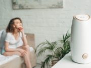 En İyi Hava Nemlendirici Buhar Makinesi En İyi Hava Nemlendirici Buhar Makinesi