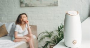 En İyi Hava Nemlendirici Buhar Makinesi En İyi Hava Nemlendirici Buhar Makinesi