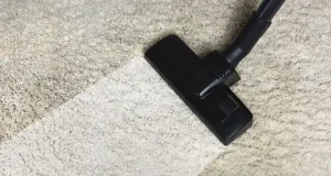 En İyi Sulu Süpürge