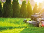 En İyi Çim Biçme Makinesi