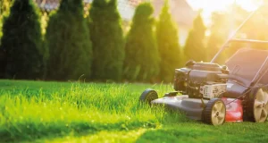 En İyi Çim Biçme Makinesi