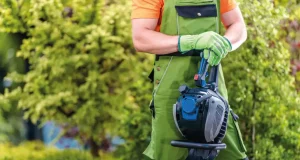 En İyi Motorlu Tırpan