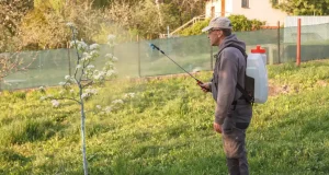 En İyi İlaçlama Makinesi