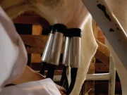 En İyi Süt Sağma Makinesi