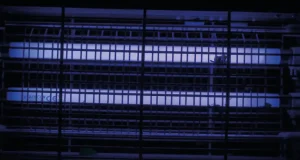 En İyi Elektrikli Sinek Öldürücü