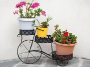 En Güzel Çiçeklik