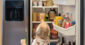 En İyi Gardırop Tipi Buzdolabı