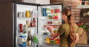 En İyi Tek Kapılı Buzdolabı