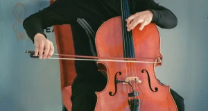 En İyi Yaylı Çalgı