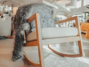 En İyi Sallanan Sandalye