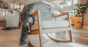 En İyi Sallanan Sandalye