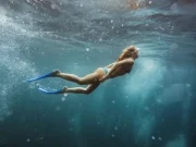 En İyi Dalış Paleti