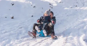 En İyi Kar Kızağı