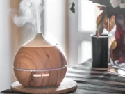 En İyi Yağ Difüzörü