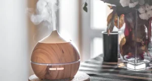 En İyi Yağ Difüzörü