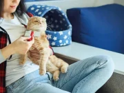 En İyi Kedi Tüyü Toplayıcı