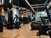 En İyi Kondisyon Küreği