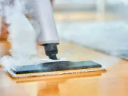 En İyi Buharlı Temizleyici