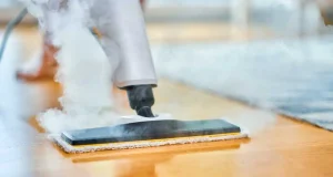 En İyi Buharlı Temizleyici