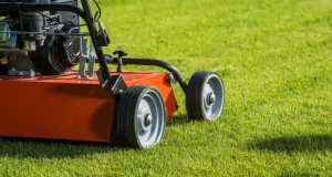 En İyi Çim Havalandırma Makinesi