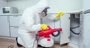 En İyi Haşere İlacı