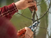 En İyi Dal Budama Makinesi