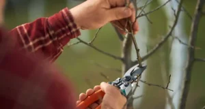 En İyi Dal Budama Makinesi