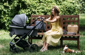 En İyi Bebek Arabası