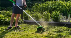 En İyi Benzinli Tırpan