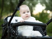 En İyi 3 Tekerlekli Bebek Arabası En iyi 3 Tekerlekli Bebek Arabası