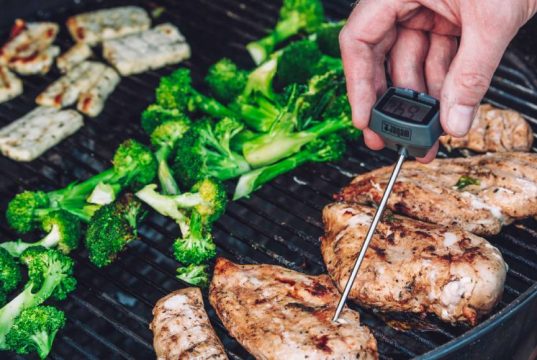 En İyi Gıda Termometresi En İyi Gıda Termometresi