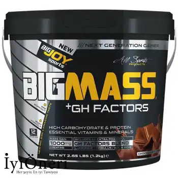 Bigjoy Sports Bigmass Mass Gainer Karbonhidrat Tozu