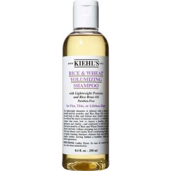 Kiehl's New York Rice And Wheat İnce Telli Saç Şampuanı