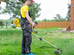 En İyi Elektrikli Tırpan